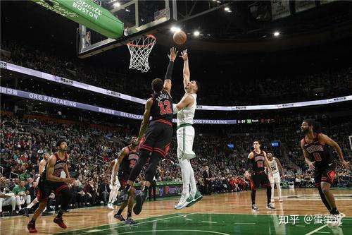 关于熊猫击败凯尔特人，戈贝尔表现亮眼的信息